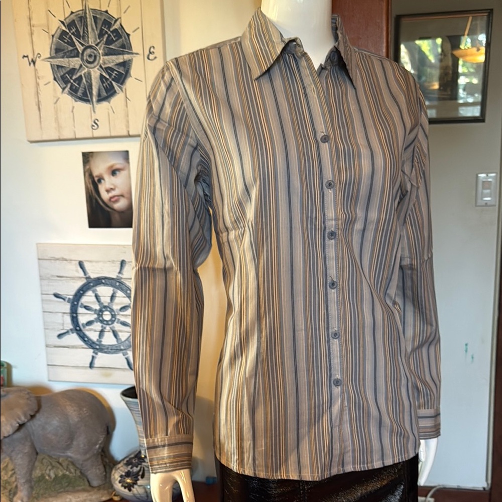 NWT northern reflections size small Striped Shirt - blue, Brown and Gray